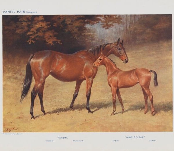 Famous Racehorses No. 6. 'Lutteur III.' Portrait Print Sale Professional