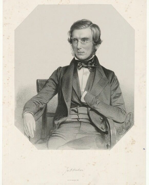 Sir Joseph Dalton Hooker Portrait Print Affordable Online
