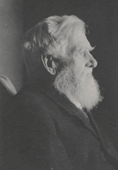 Alfred Russel Wallace Portrait Print In China Sale Online