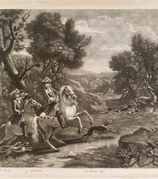 Deer Hunt Portrait Print Outlet For Nice