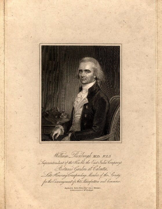 William Roxburgh Portrait Print Outlet Cheap Online