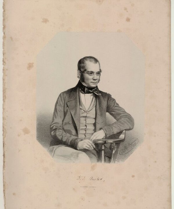 David Thomas Ansted Portrait Print Clearance Find Great