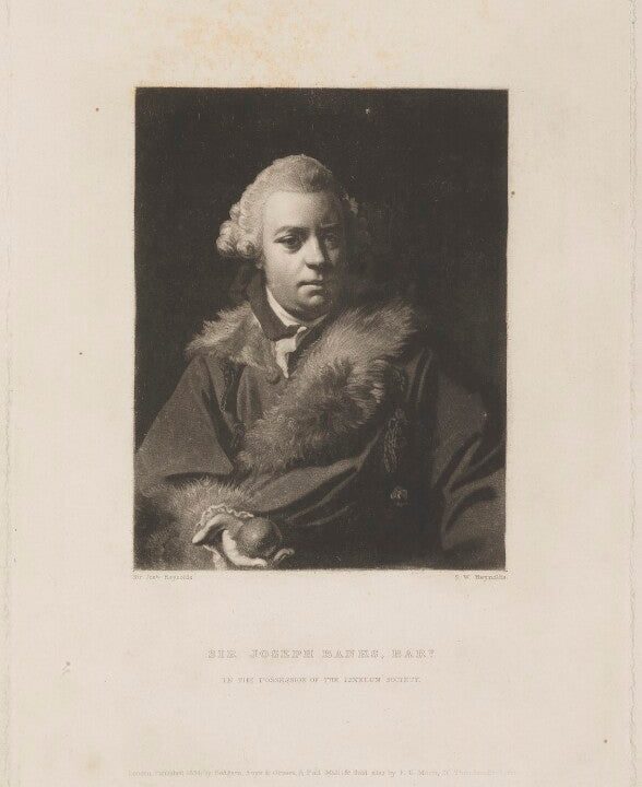 Sir Joseph Banks, Bt Portrait Print Discount Professional