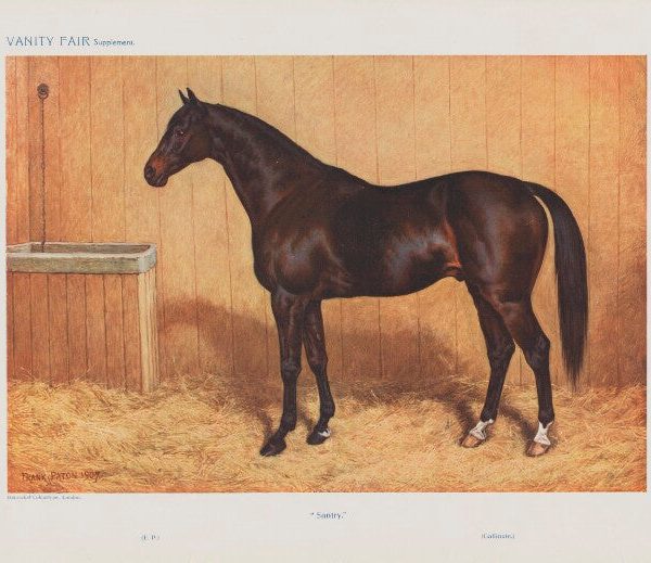Famous Racehorses No. 12. 'Santry.' Portrait Print Amazing Pice Cheap Online