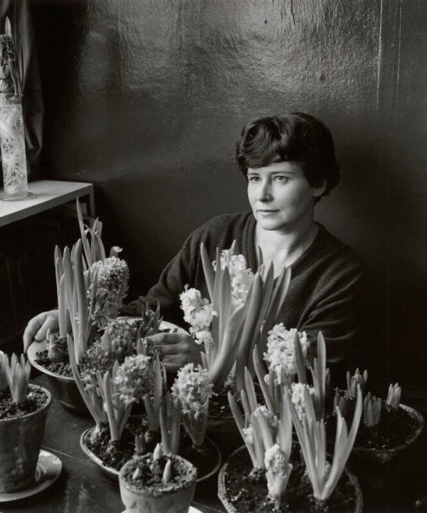 Doris Lessing Portrait Print Sale Best Seller