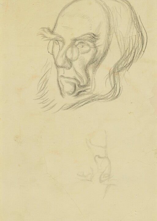 Sir Joseph Dalton Hooker Portrait Print Sast