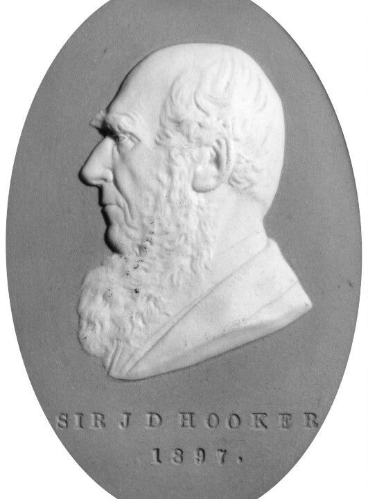 Sir Joseph Dalton Hooker Portrait Print Store Online