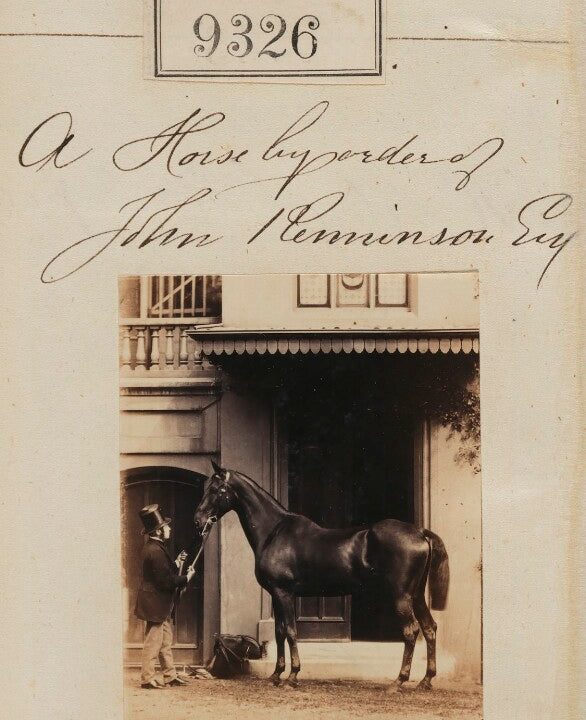 'A Horse by order of John Renninson' Portrait Print For Sale