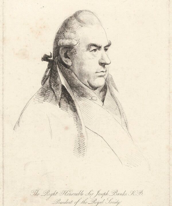 Sir Joseph Banks, Bt Portrait Print Cheap Pices Authentic