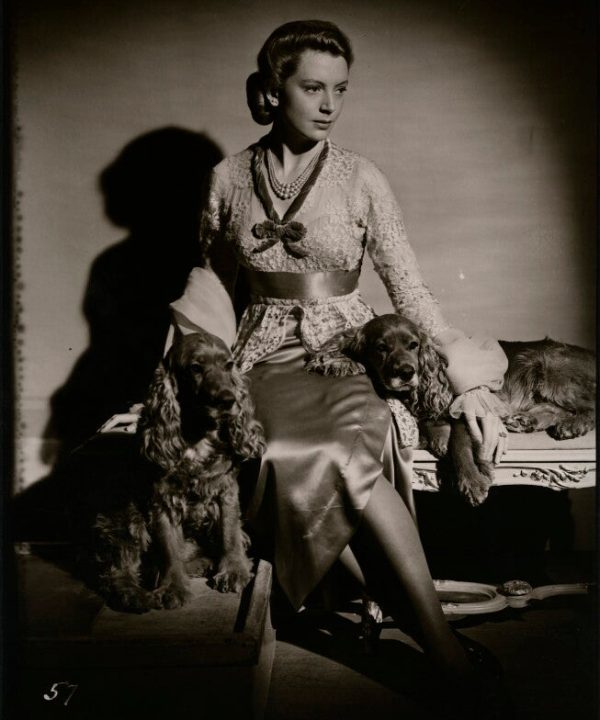 Deborah Kerr Greetings Card Discount Purchase