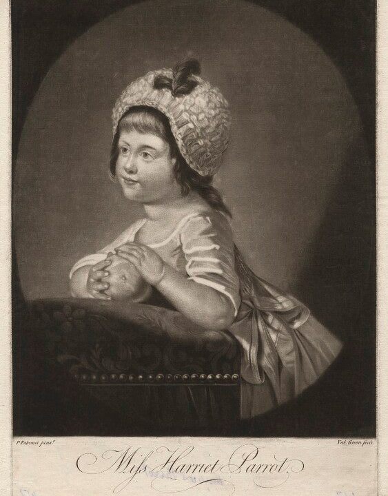 Harriet Parrot Portrait Print Extremely Cheap Pice