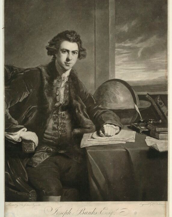 Sir Joseph Banks, Bt Portrait Print Sale Wide Range Of