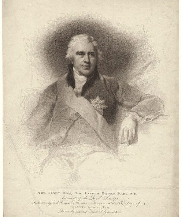 Sir Joseph Banks, Bt Portrait Print Sale Amazon