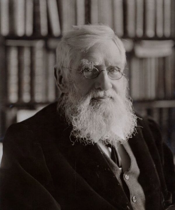 Alfred Russel Wallace Portrait Print Clearance Footlocker Finishline