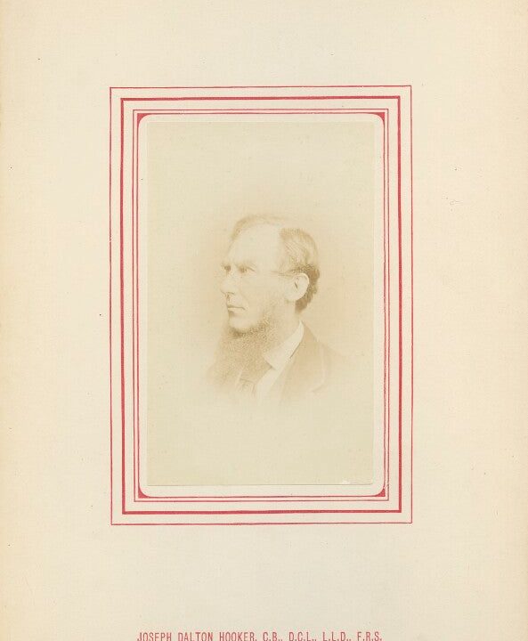 Sir Joseph Dalton Hooker Greetings Card Free Shipping For Sale