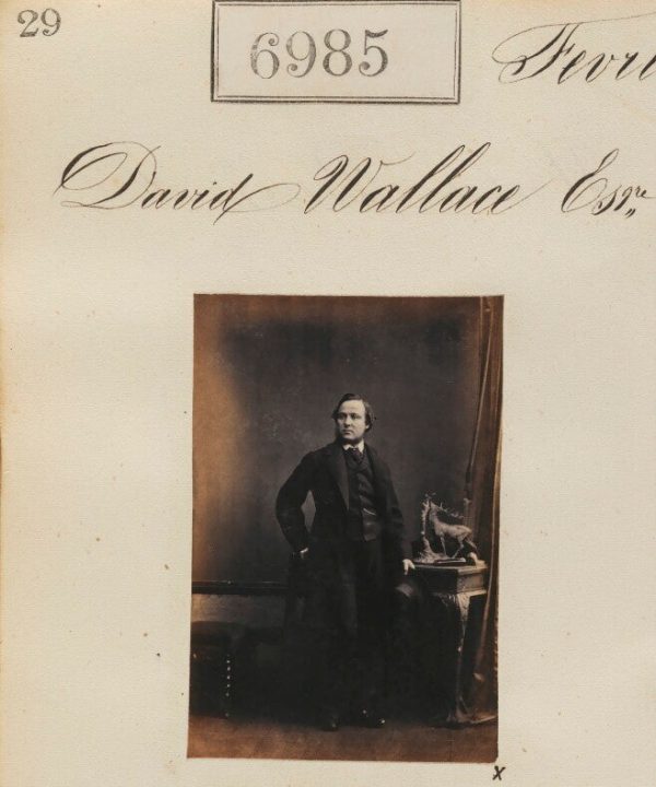 David Wallace Portrait Print Buy Cheap Factory Outlet