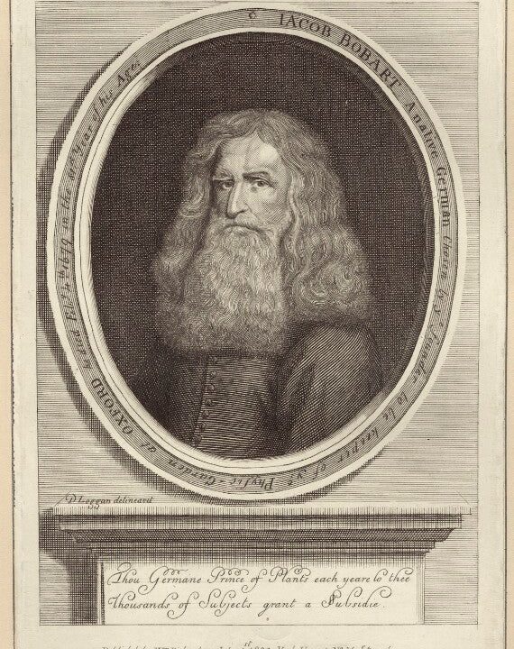 Jacob Bobart (Bobert) the Elder Portrait Print Cheap Sale Outlet Store