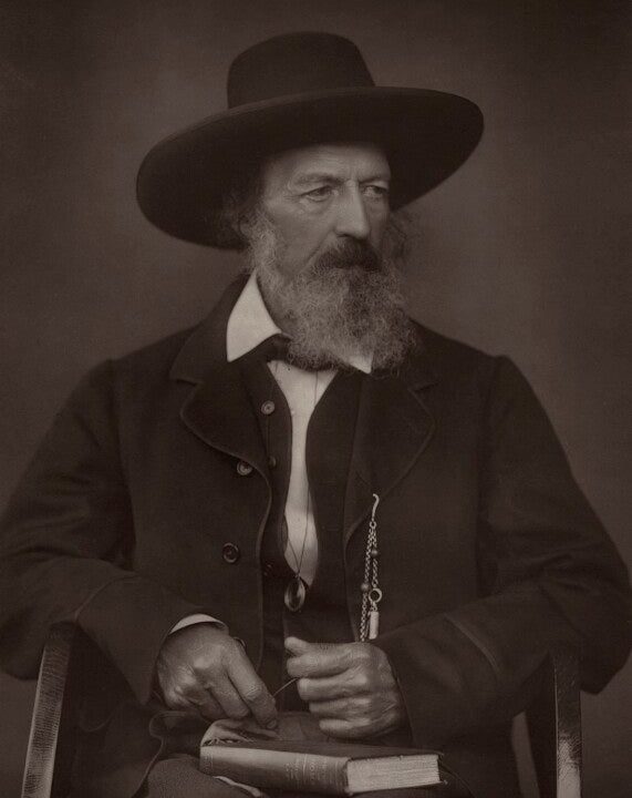 Alfred, Lord Tennyson Portrait Print Order Cheap Online
