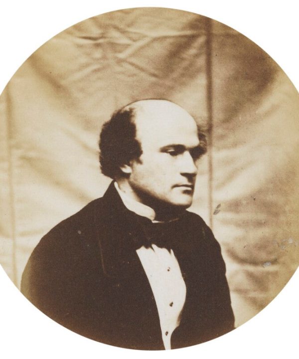 Alfred Sydney Wigan Portrait Print Buy Cheap Pice
