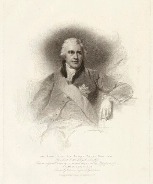 Sir Joseph Banks, Bt Portrait Print With Paypal Cheap Online