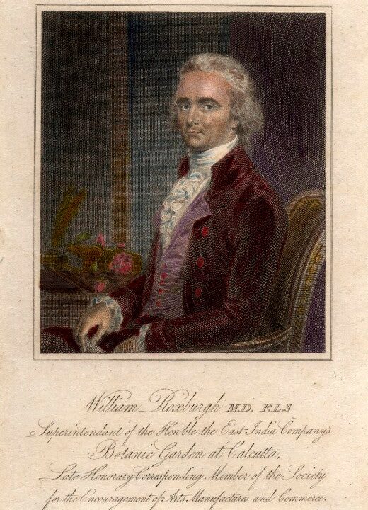 William Roxburgh Portrait Print Discount Pay With Paypal