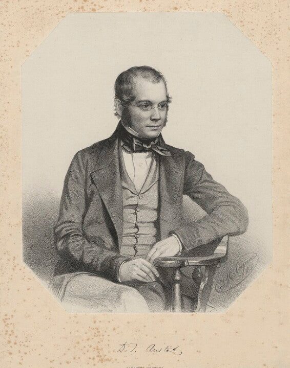 David Thomas Ansted Portrait Print Free Shipping Buy