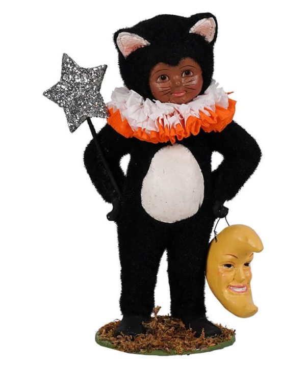 Dressed Up Dessi Cat Lowest Pice Cheap Pice
