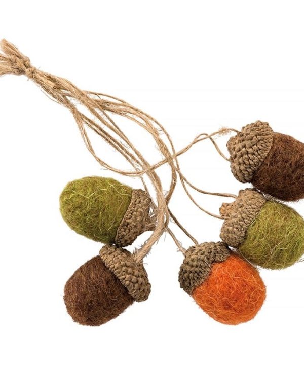 Felt Acorn Bundle Ornaments Set/5 Looking For Online