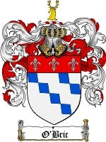 O'Bric Family Crest / Coat of Arms JPG or PDF Image Download Cheap For Nice