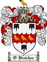 O'Brolchen Family Crest / Coat of Arms JPG or PDF Image Download Cheap Sale Excellent