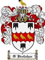 O'Brollohan Family Crest / Coat of Arms JPG or PDF Image Download Excellent Sale Online