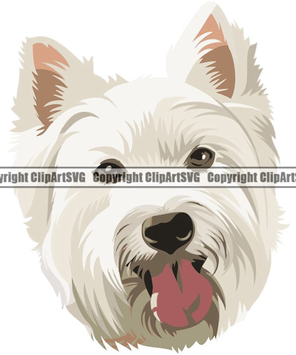 West Highland White Terrier Dog Breed Head Color ClipArt SVG Cheap Get Authentic