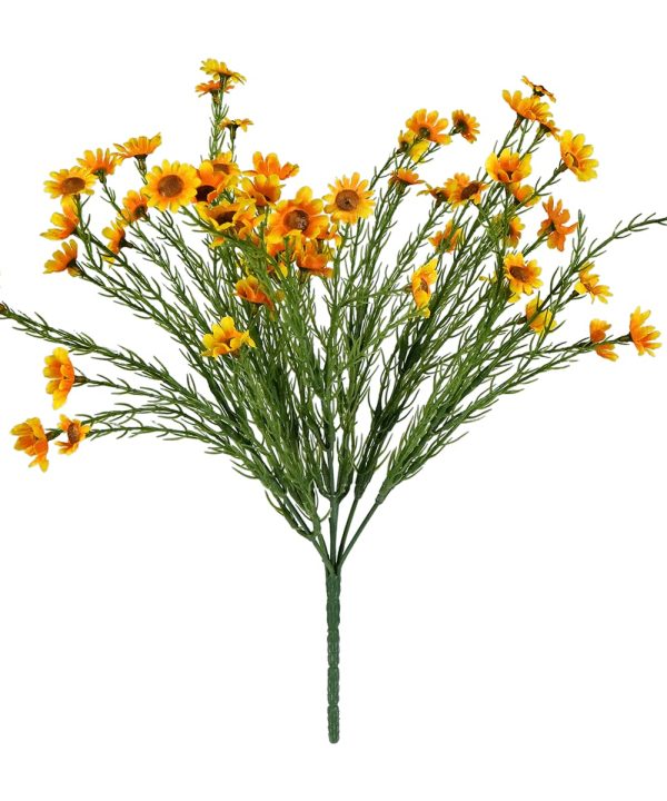 Yellow Daisy Bush Pick Buy Cheap Authentic