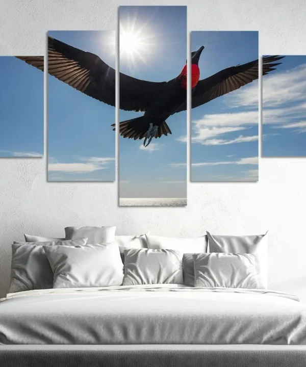 The Majestic Frigatebird The Master of the Skies 5 Piece HD Canvas Wall Art
