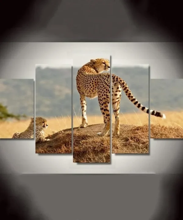Leopards 5 Piece HD Multi Panel Canvas Wall Art Frame