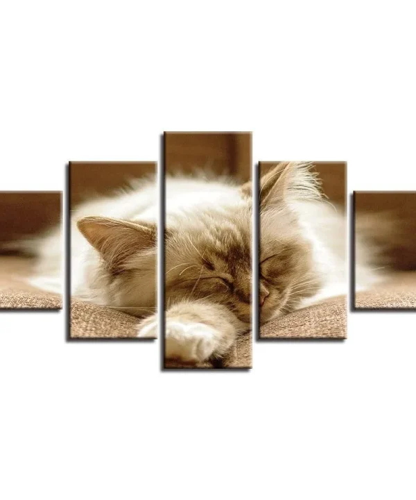 Lazy Sleeping Cat 5 Piece HD Multi Panel Canvas Wall Art Frame