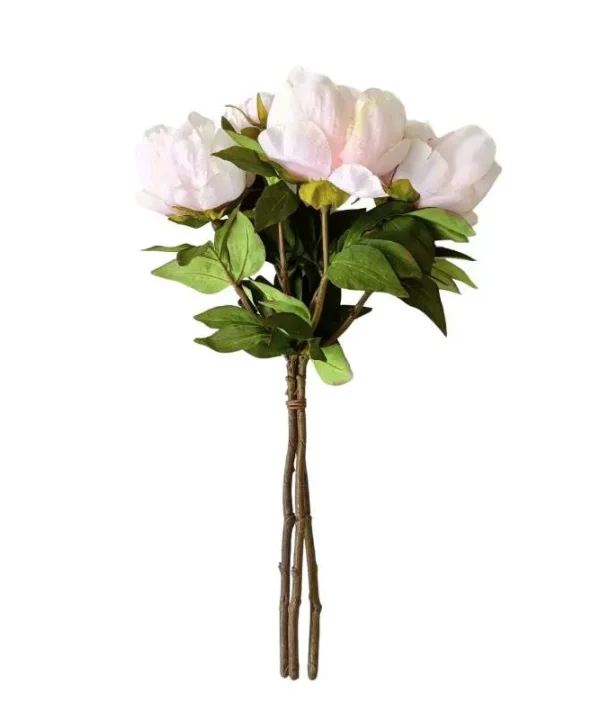 Cottage Peony Bunch in light pink