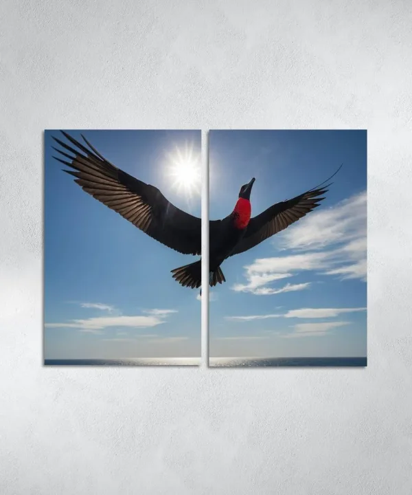 The Majestic Frigatebird The Master of the Skies 2 Piece HD Canvas Wall Art
