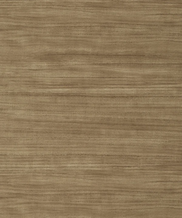 TWW10986 | Texture Resource 7, Woodrow, Brown Thibaut Wallpaper