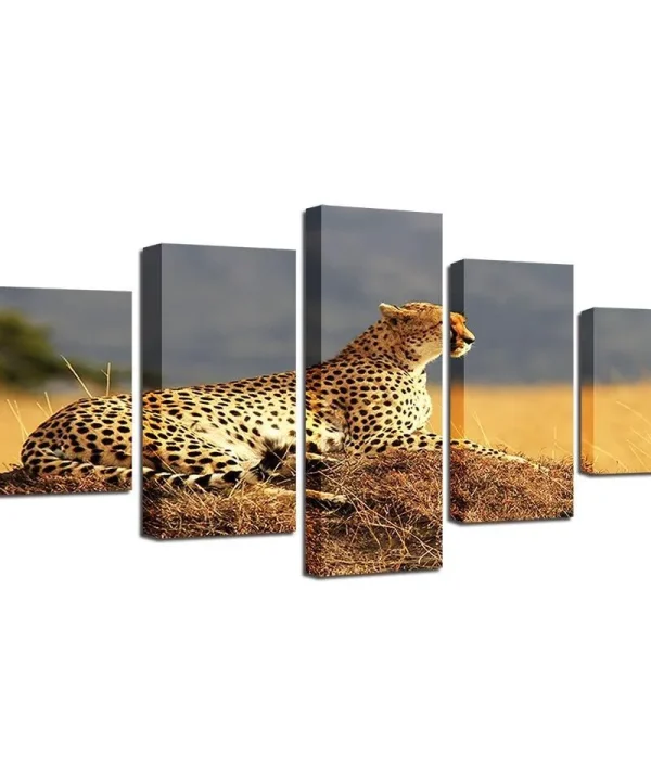 Resting Leopard 5 Piece HD Multi Panel Canvas Wall Art Frame